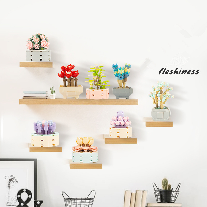 DIY MOC plantas en macetas suc - Bonsai Garden Experts reseña y precio