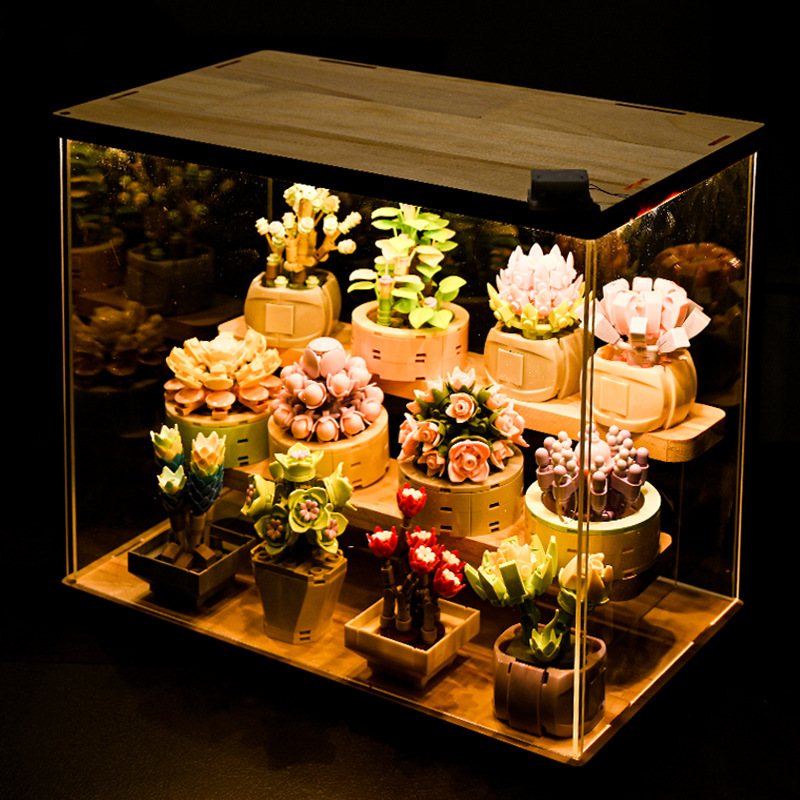 DIY MOC plantas en macetas suc - Bonsai Garden Experts reseña y precio